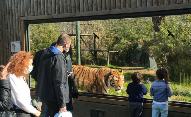 Faruk Yalçın Hayvanat Bahçesi’nden keyifli bir etkinlik daha...