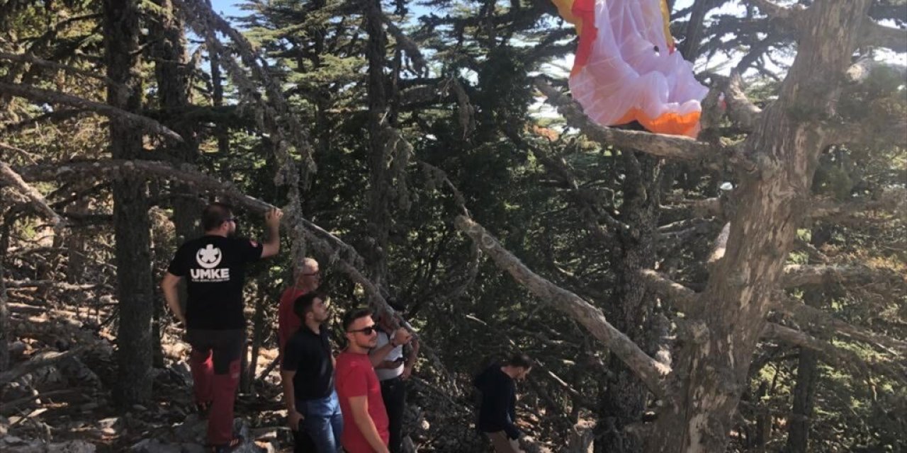 Muğla Fethiye'de Yamaç Paraşütçüsü Ağaca Dolandı