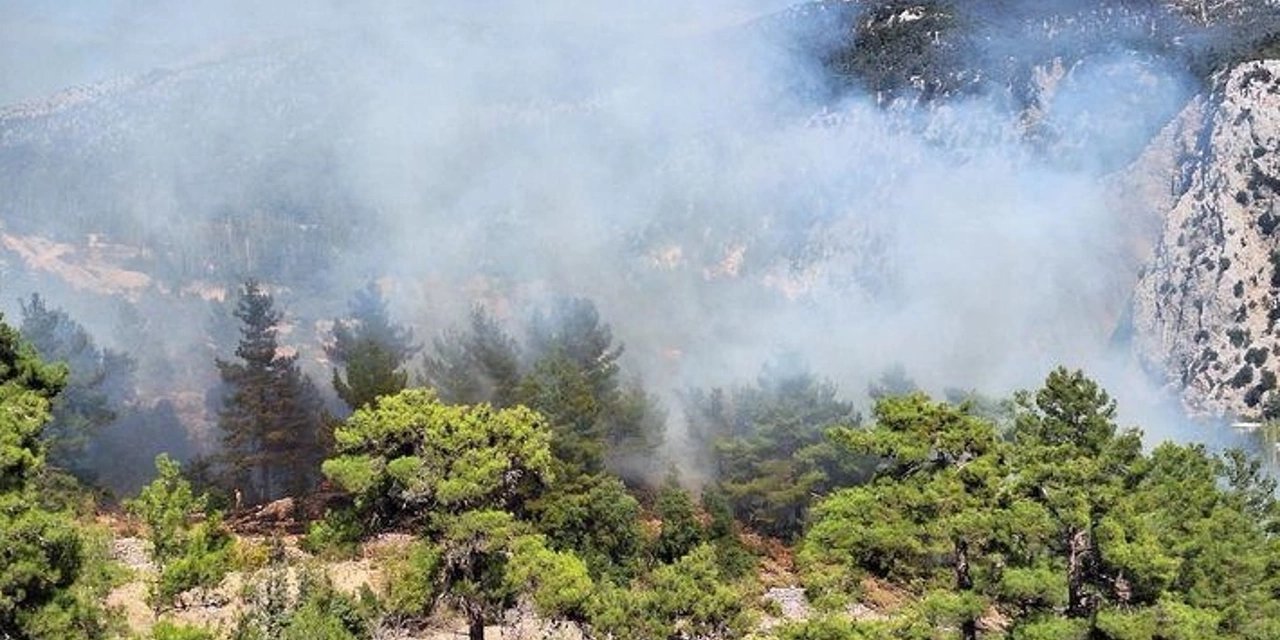 Antalya'nın Kaş ilçesinde çıkan orman yangını söndürüldü