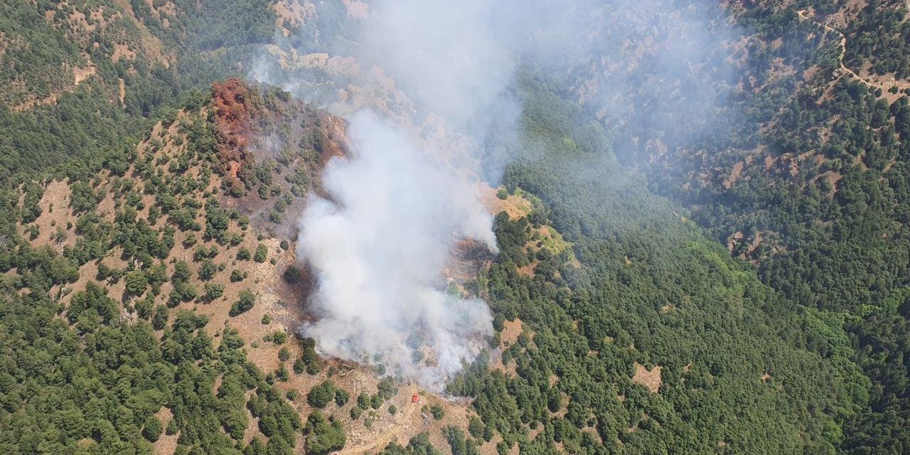 Manisa'da Orman Yangını: Müdahale Başladı