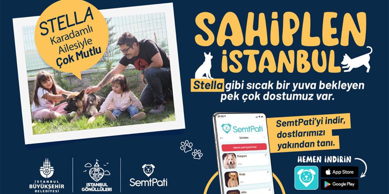 İstanbul'da 218 Köpek Sahiplendirildi