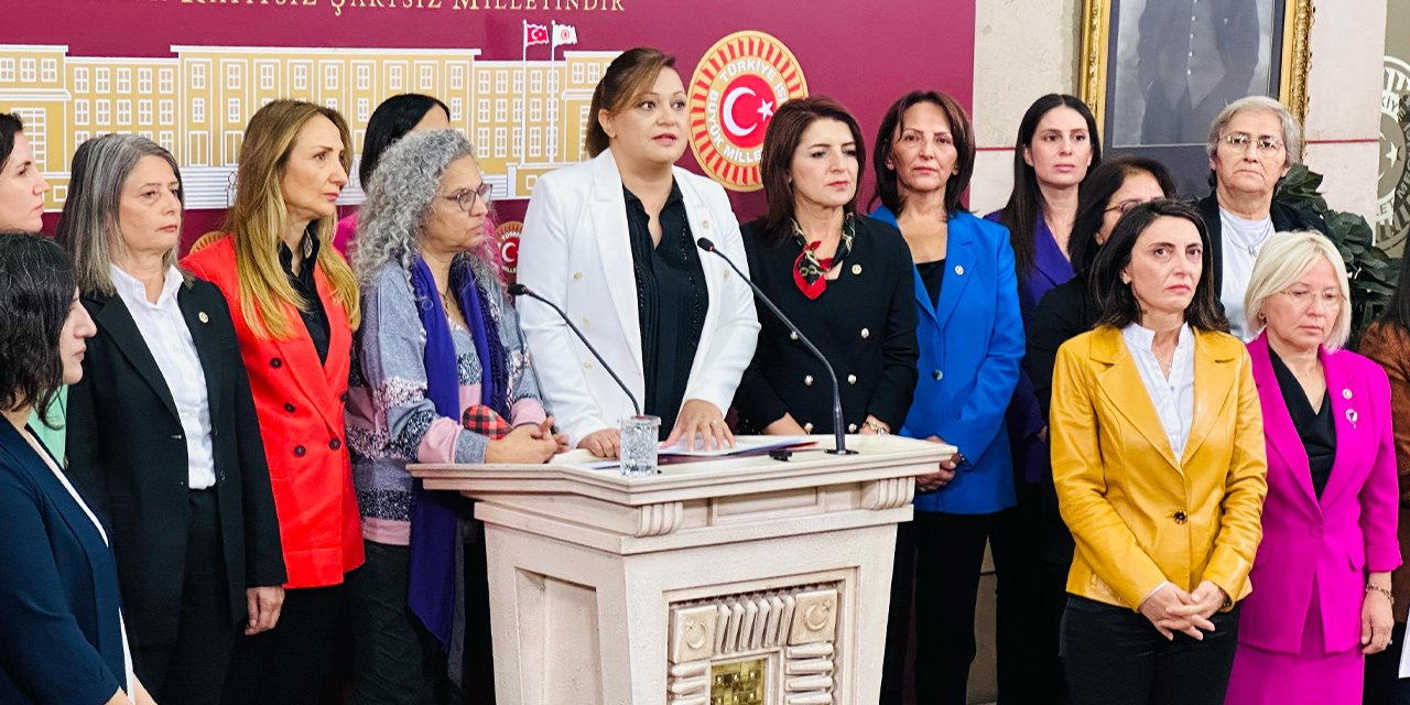 CHP'li Kış: Kadınlar Güçlenirse, Türkiye Güçlenir