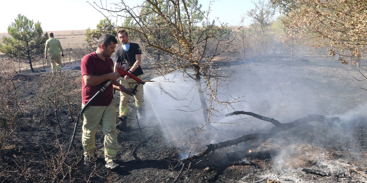 Edirne'de otoyol kenarındaki ağaçlık alanda yangın çıktı