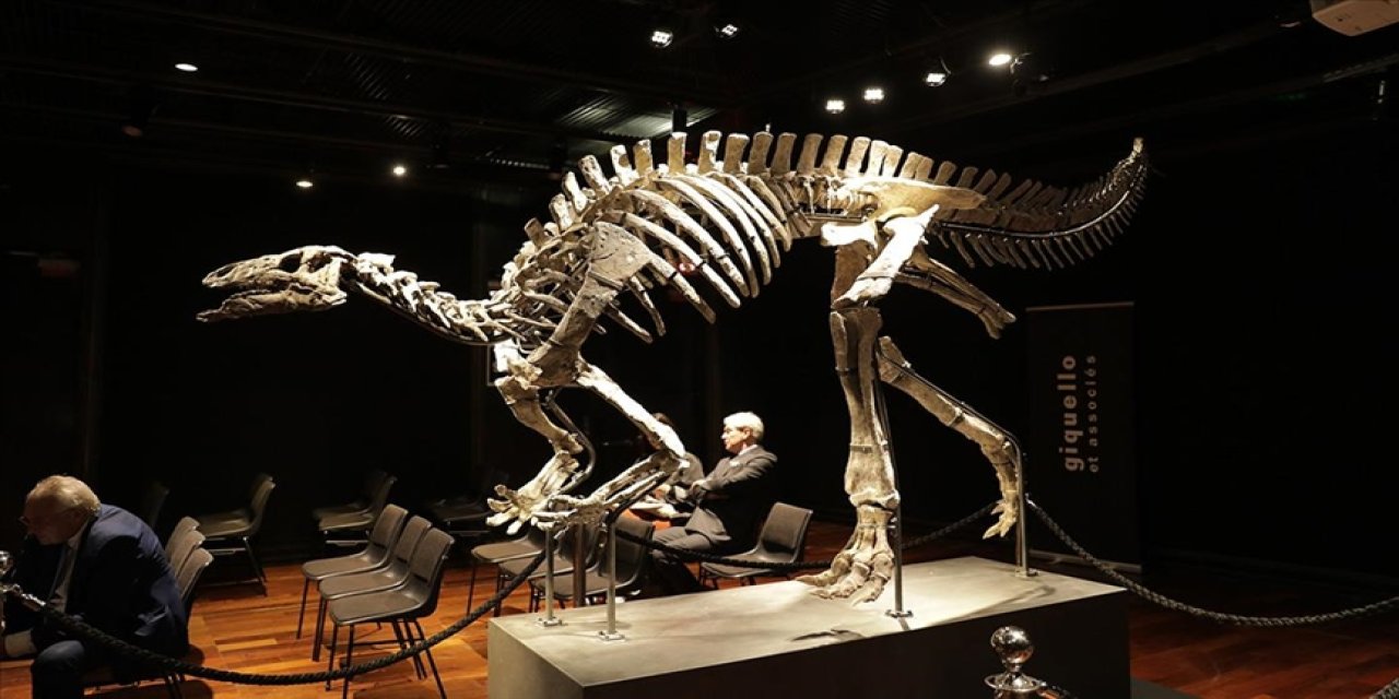 Paris'te 150 milyon yıllık dinozor iskeleti 930 bin euroya satıldı