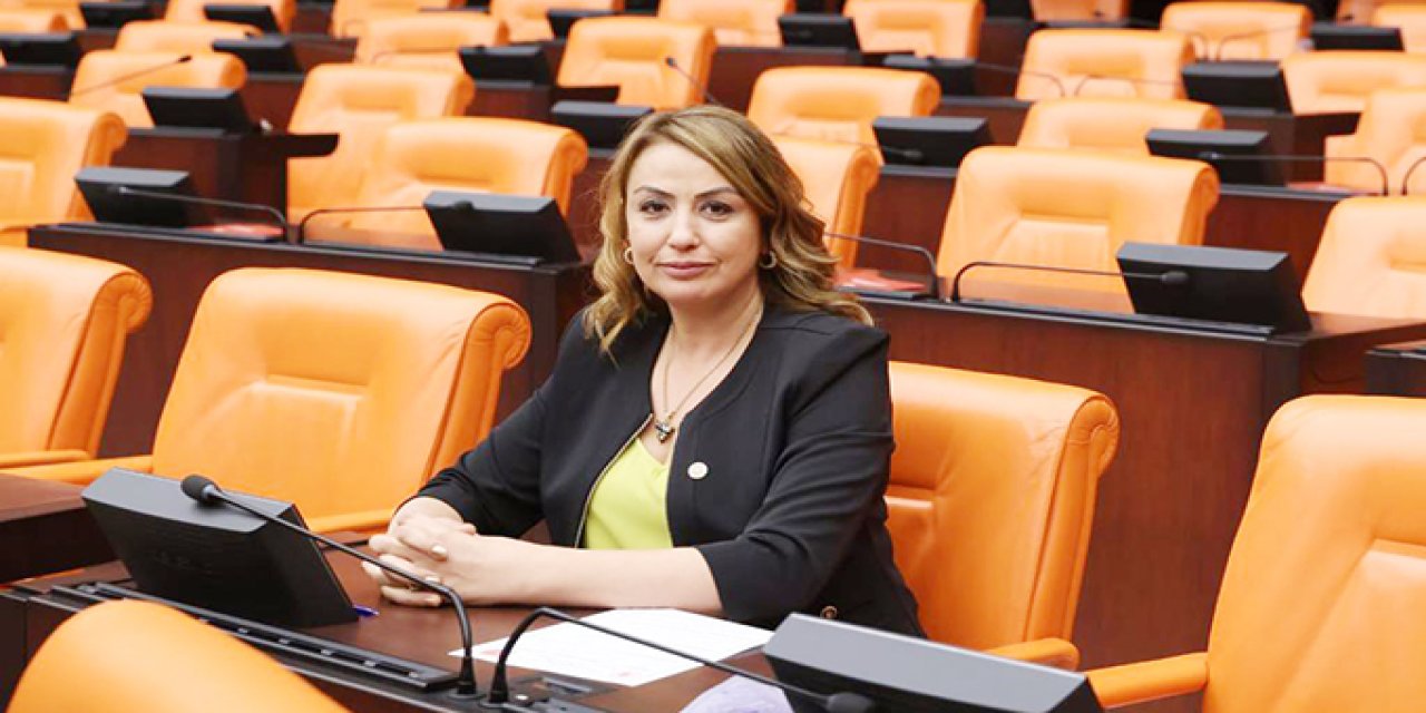CHP'li milletvekili: Acılarımızı suistimal etmeyin