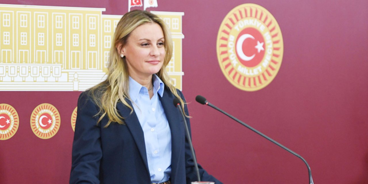 DEVA Partisi İzmir Milletvekili Seda Kaya Ösen, E-kitaplarda KDV’nin kaldırılması için kanun teklifi verdi